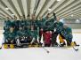 Eishockey 2011